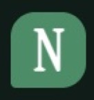 Novel AI logo